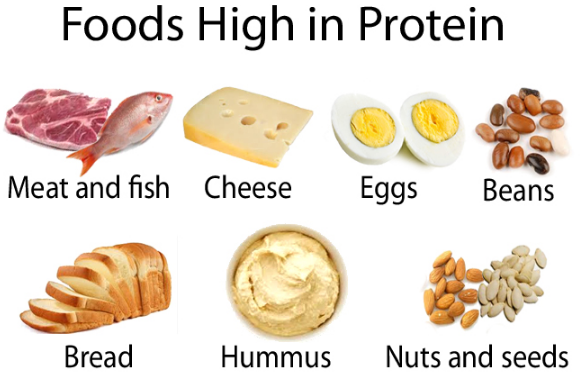 How much protein is enough?