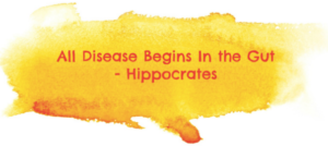 How to Improve Gut Health
